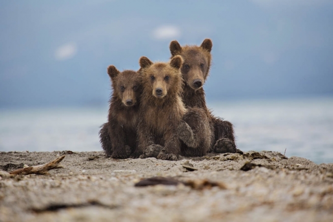 Tour Kamchatka - La terra degli orsi e dei vulcani - Incoming Russia tour operator 